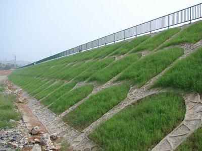 種植草磚草皮怎么種